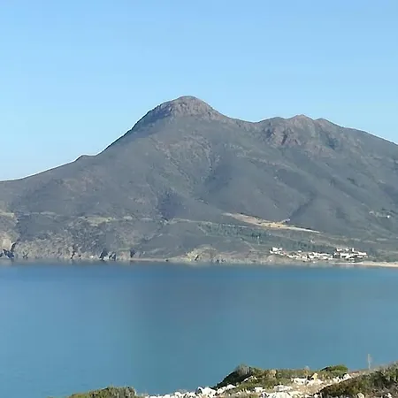 Rosemary Flavor * בוג'רו