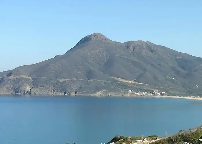 Rosemary Flavor * Buggerru